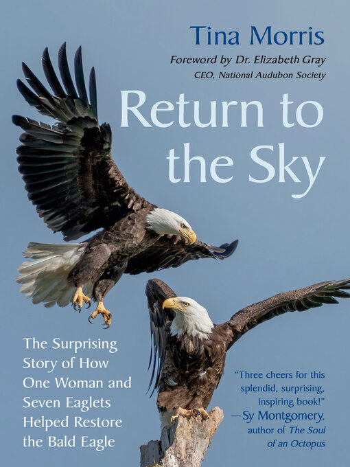 Title details for Return to the Sky by Tina Morris - Available